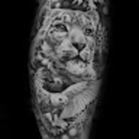 Meet your Posher, Garrett - Picture 1 of 1